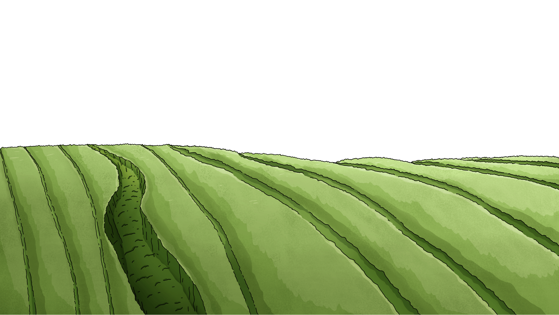 BG